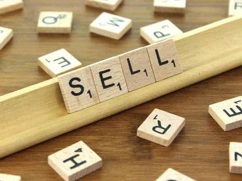 Thị giá tăng 80% trong gần 2 tuần, Chủ tịch Sông Đà 19 (SJM) tranh thủ đăng ký thoái sạch vốn
